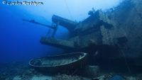 pecioredsea16-carlosmartinez-opt