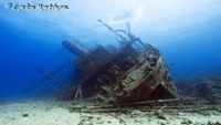 pecioredsea18-carlosmartinez-opt