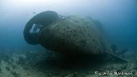 pecioredsea4-carlosmartinez-opt
