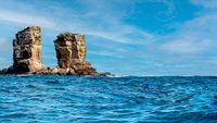 arco-darwin (1)