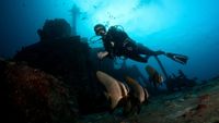 Maldivas-buceo6-emperordivers