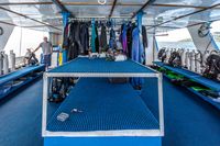 bilikiki Dive Deck 2 credit Tom Demeyer