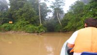 borneo6-opt
