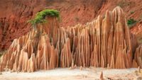 madagascar-intro2-opt