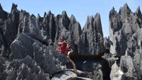 madagascar1-opt