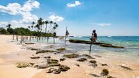 SriLanka3-Daniel-klein-unsplash-opt