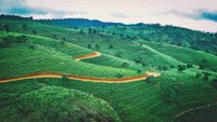 Srilanka6-jaromir-kavan-unsplash-opt (1)